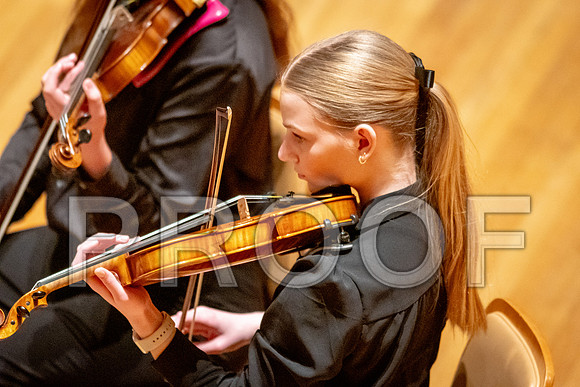 2024 University of Illinois High School Orchestra ClinicFebruary 24, 2024