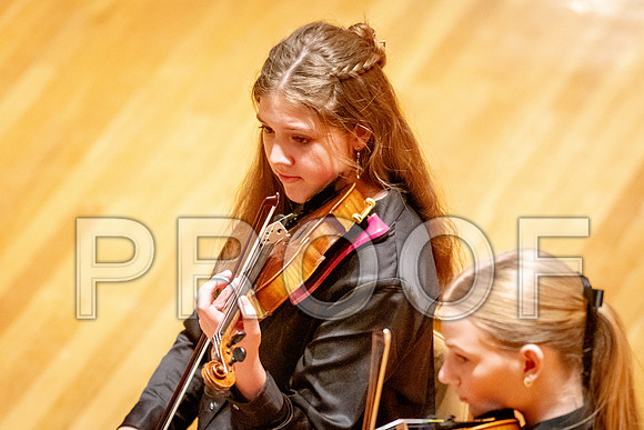 2024 University of Illinois High School Orchestra ClinicFebruary 24, 2024