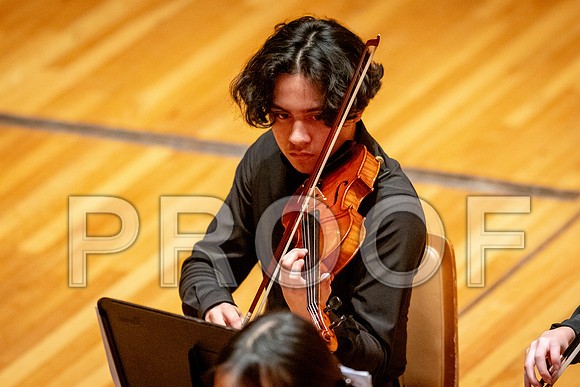 2024 University of Illinois High School Orchestra ClinicFebruary 24, 2024