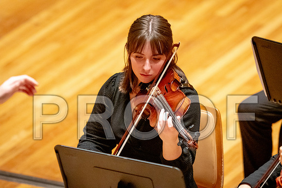 2024 University of Illinois High School Orchestra ClinicFebruary 24, 2024