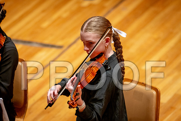 2024 University of Illinois High School Orchestra ClinicFebruary 24, 2024