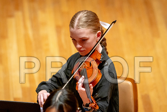 2024 University of Illinois High School Orchestra ClinicFebruary 24, 2024