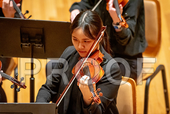 2024 University of Illinois High School Orchestra ClinicFebruary 24, 2024