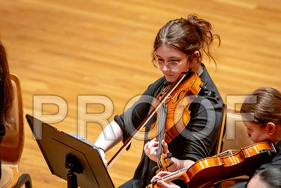 2024 University of Illinois High School Orchestra ClinicFebruary 24, 2024