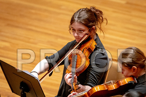 2024 University of Illinois High School Orchestra ClinicFebruary 24, 2024