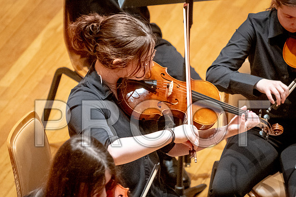 2024 University of Illinois High School Orchestra ClinicFebruary 24, 2024