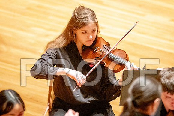 2024 University of Illinois High School Orchestra ClinicFebruary 24, 2024