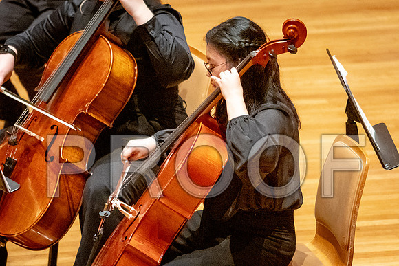 2024 University of Illinois High School Orchestra ClinicFebruary 24, 2024
