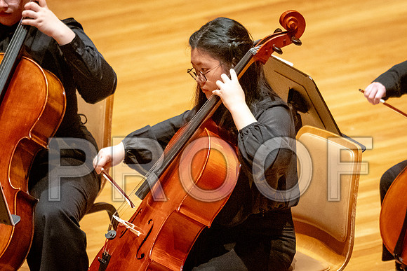 2024 University of Illinois High School Orchestra ClinicFebruary 24, 2024
