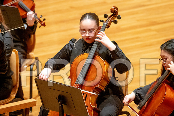 2024 University of Illinois High School Orchestra ClinicFebruary 24, 2024