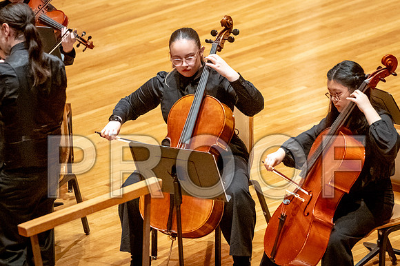 2024 University of Illinois High School Orchestra ClinicFebruary 24, 2024