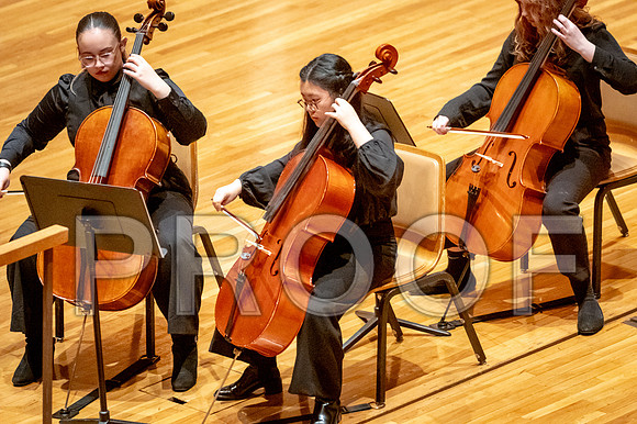 2024 University of Illinois High School Orchestra ClinicFebruary 24, 2024