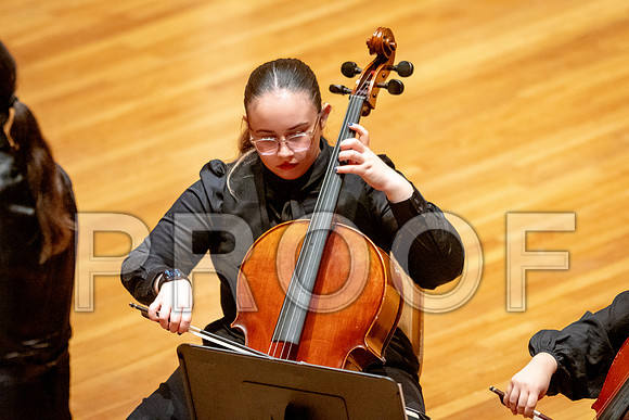 2024 University of Illinois High School Orchestra ClinicFebruary 24, 2024