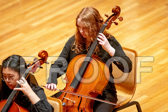 2024 University of Illinois High School Orchestra ClinicFebruary 24, 2024