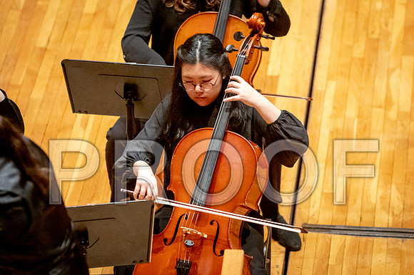 2024 University of Illinois High School Orchestra ClinicFebruary 24, 2024