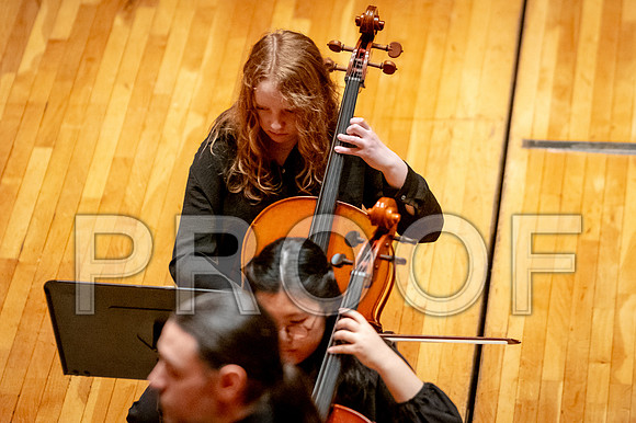 2024 University of Illinois High School Orchestra ClinicFebruary 24, 2024