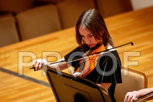 2024 University of Illinois High School Orchestra ClinicFebruary 24, 2024