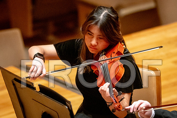 2024 University of Illinois High School Orchestra ClinicFebruary 24, 2024
