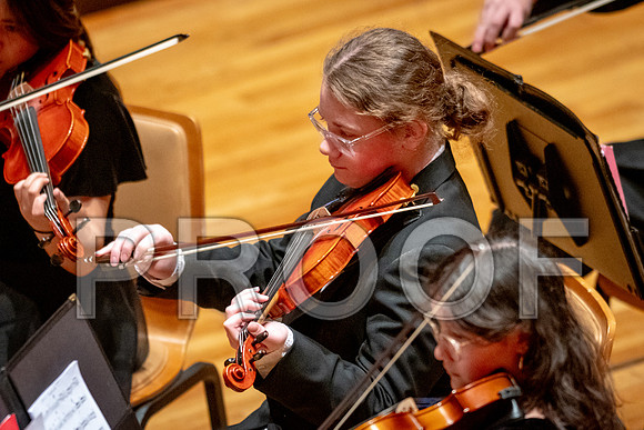 2024 University of Illinois High School Orchestra ClinicFebruary 24, 2024
