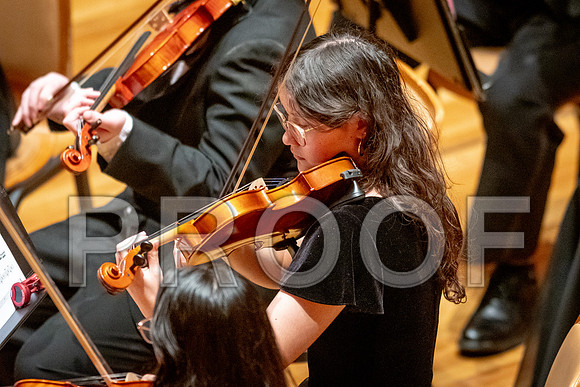 2024 University of Illinois High School Orchestra ClinicFebruary 24, 2024