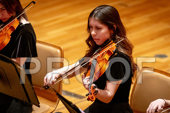 2024 University of Illinois High School Orchestra ClinicFebruary 24, 2024