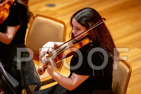 2024 University of Illinois High School Orchestra ClinicFebruary 24, 2024