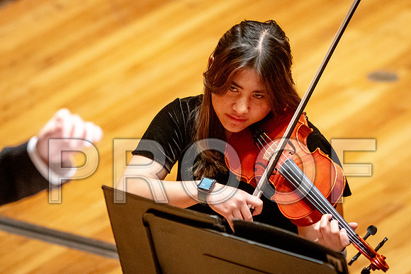 2024 University of Illinois High School Orchestra ClinicFebruary 24, 2024