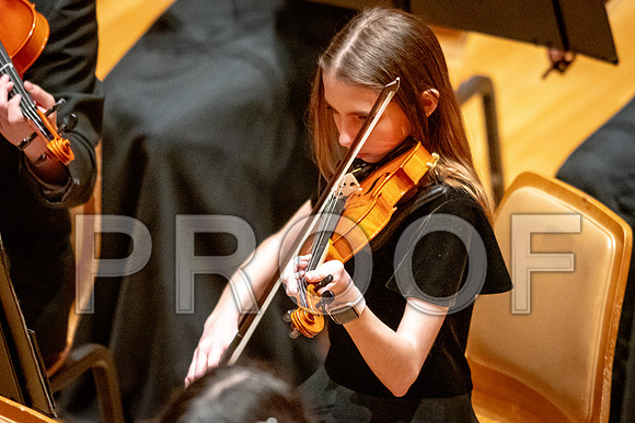 2024 University of Illinois High School Orchestra ClinicFebruary 24, 2024
