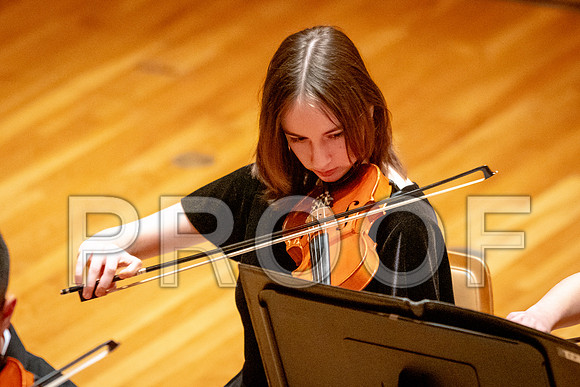 2024 University of Illinois High School Orchestra ClinicFebruary 24, 2024