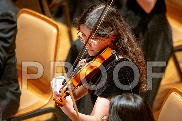 2024 University of Illinois High School Orchestra ClinicFebruary 24, 2024