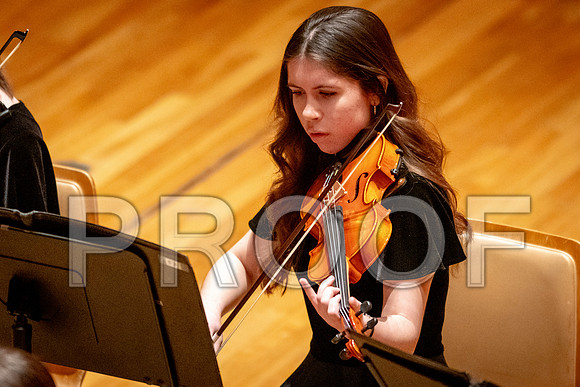 2024 University of Illinois High School Orchestra ClinicFebruary 24, 2024