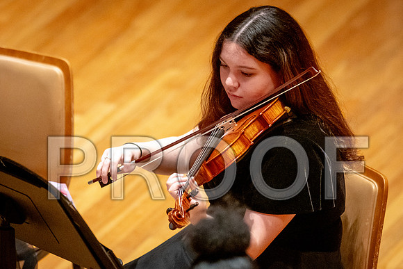 2024 University of Illinois High School Orchestra ClinicFebruary 24, 2024