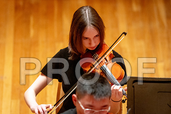 2024 University of Illinois High School Orchestra ClinicFebruary 24, 2024