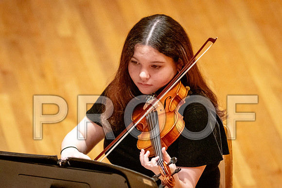2024 University of Illinois High School Orchestra ClinicFebruary 24, 2024