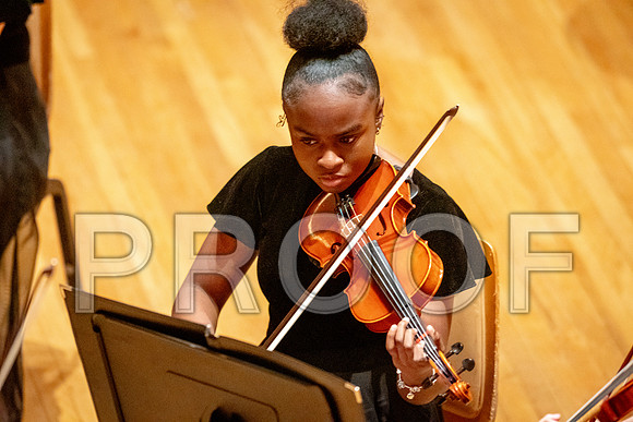 2024 University of Illinois High School Orchestra ClinicFebruary 24, 2024