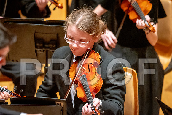 2024 University of Illinois High School Orchestra ClinicFebruary 24, 2024