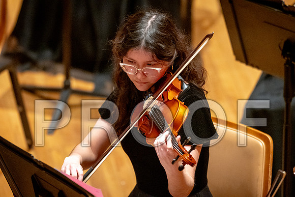 2024 University of Illinois High School Orchestra ClinicFebruary 24, 2024