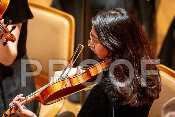 2024 University of Illinois High School Orchestra ClinicFebruary 24, 2024