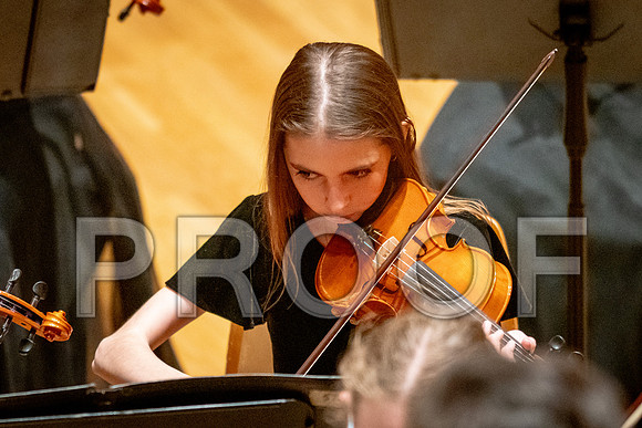 2024 University of Illinois High School Orchestra ClinicFebruary 24, 2024
