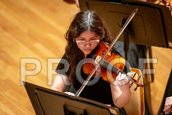 2024 University of Illinois High School Orchestra ClinicFebruary 24, 2024
