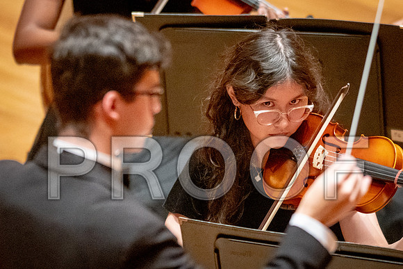 2024 University of Illinois High School Orchestra ClinicFebruary 24, 2024