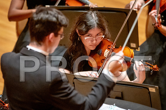 2024 University of Illinois High School Orchestra ClinicFebruary 24, 2024