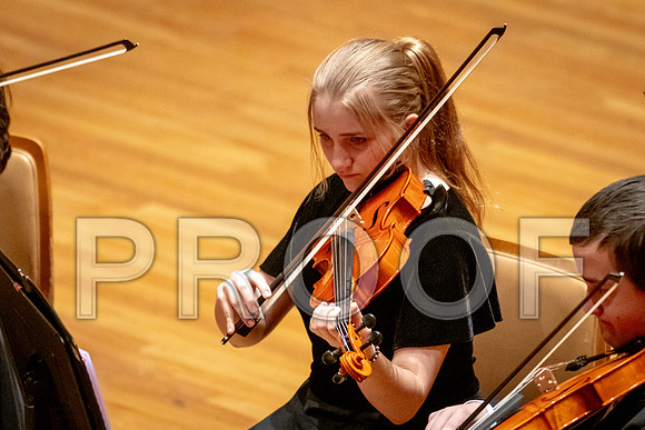2024 University of Illinois High School Orchestra ClinicFebruary 24, 2024