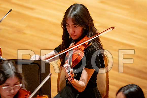 2024 University of Illinois High School Orchestra ClinicFebruary 24, 2024