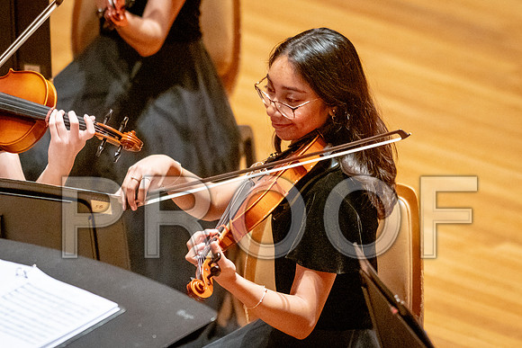 2024 University of Illinois High School Orchestra ClinicFebruary 24, 2024