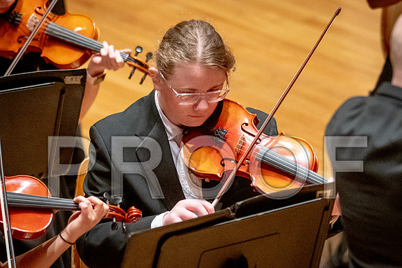2024 University of Illinois High School Orchestra ClinicFebruary 24, 2024