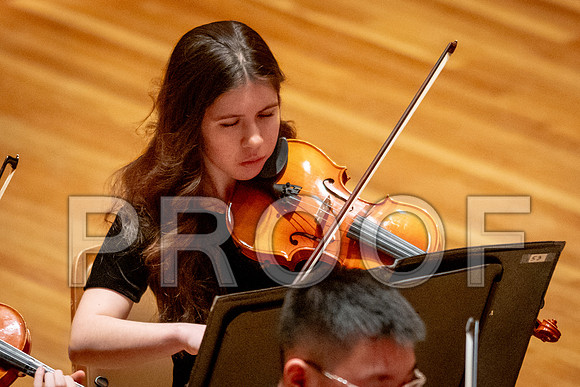 2024 University of Illinois High School Orchestra ClinicFebruary 24, 2024