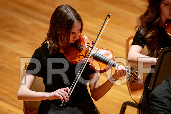 2024 University of Illinois High School Orchestra ClinicFebruary 24, 2024