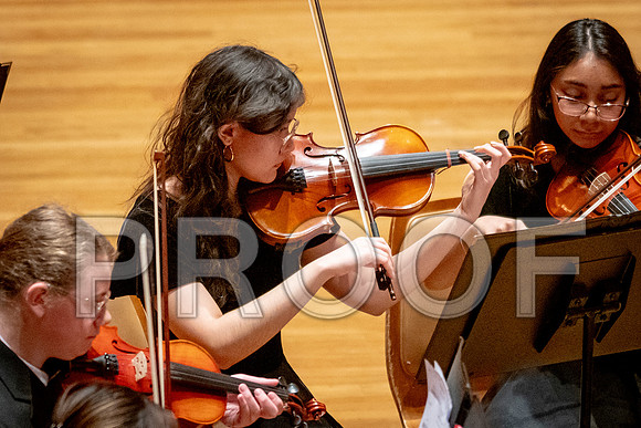 2024 University of Illinois High School Orchestra ClinicFebruary 24, 2024