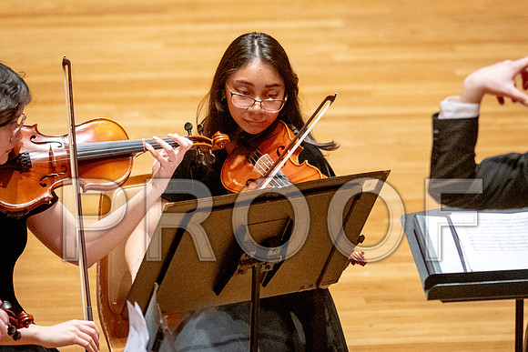 2024 University of Illinois High School Orchestra ClinicFebruary 24, 2024